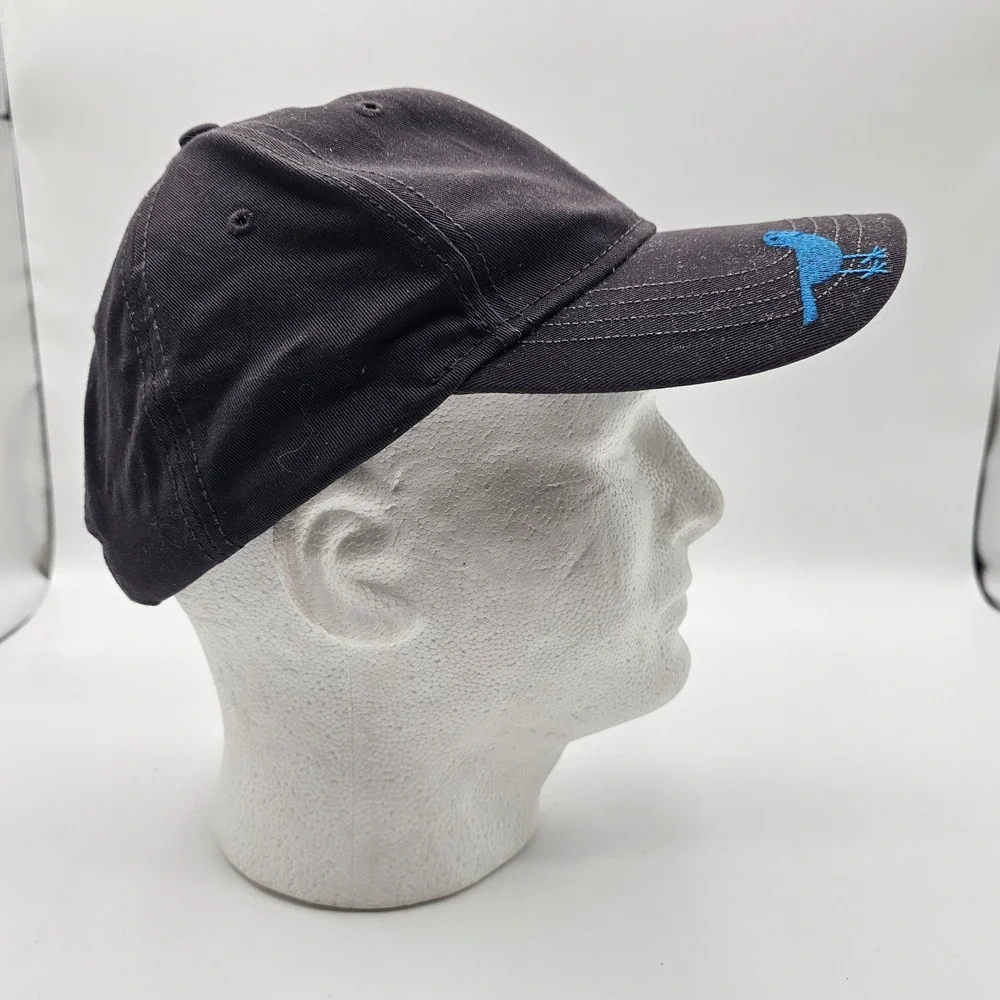 Stevens Pass Hat Cap Strap‎ Back Embroidered Blue Bird Team 2019-2020 One Size